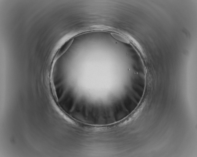 X0000112051381200908250948