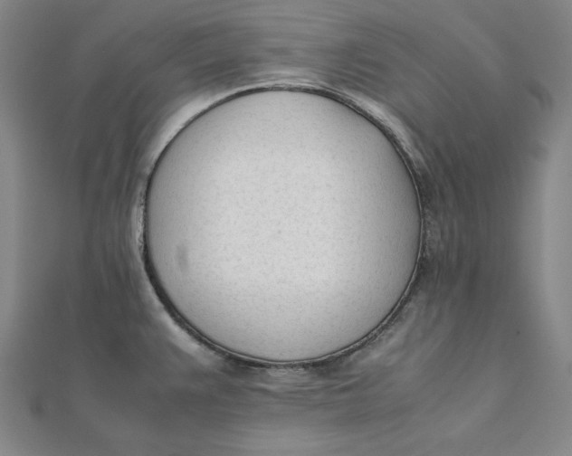 X0000112051383200908250948