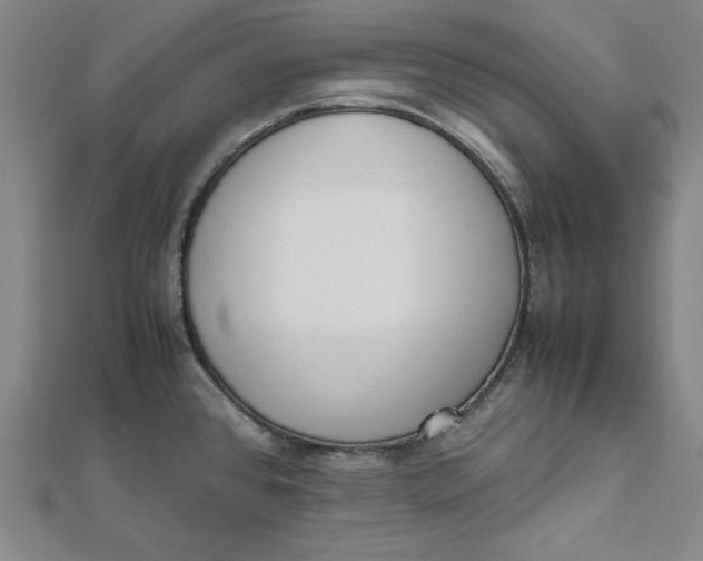 X0000112051384200908250948