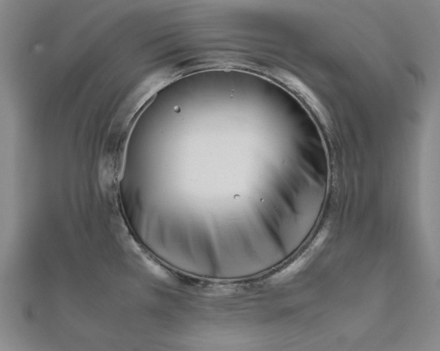 X0000112051385200908250948