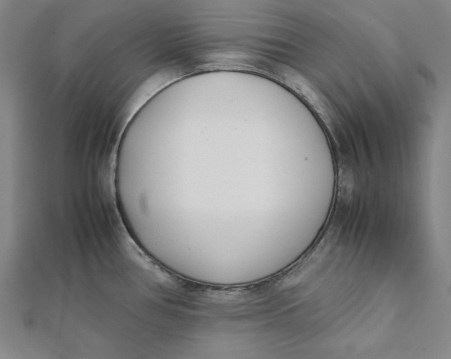 X0000112051386200908250948