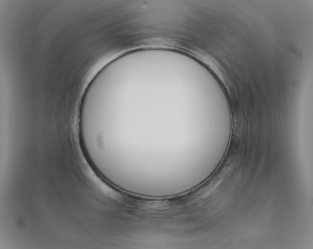 X0000112051387200908250948