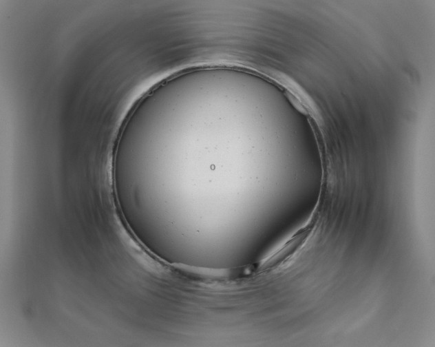 X0000112051388200908250948