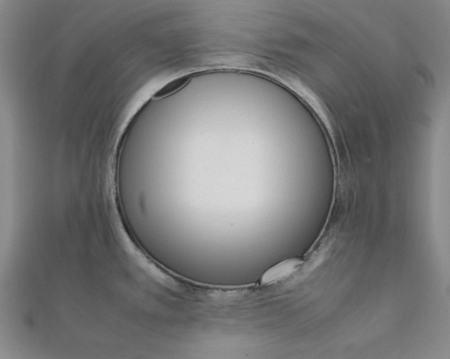 X0000112051389200908250948