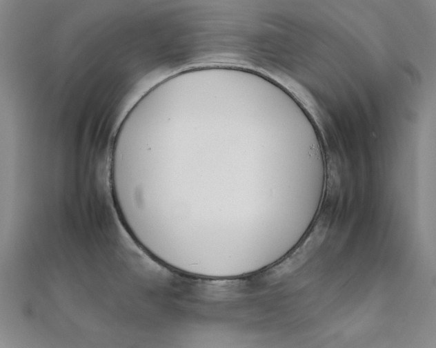 X0000112051390200908250948