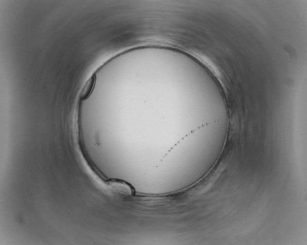 X0000112051391200908250948