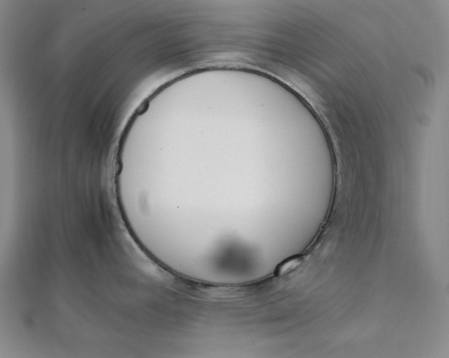 X0000112051392200908250948