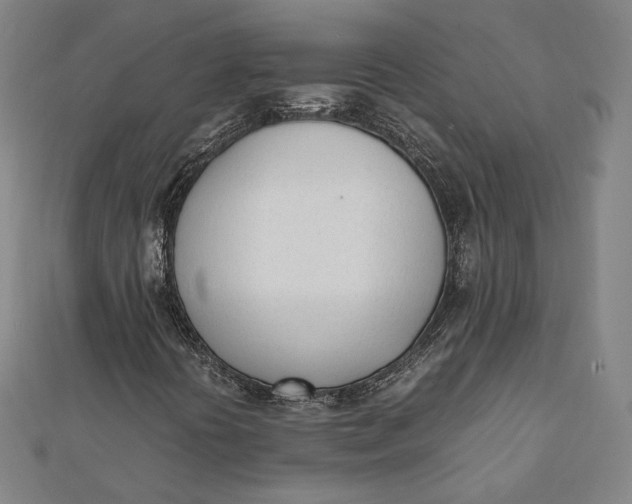 X0000112051394200908250948