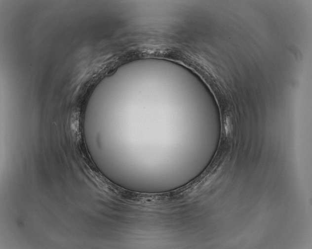 X0000112051396200908250948