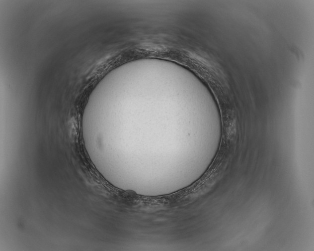 X0000112051397200908250948