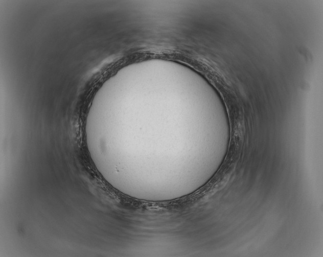 X0000112051398200908250948