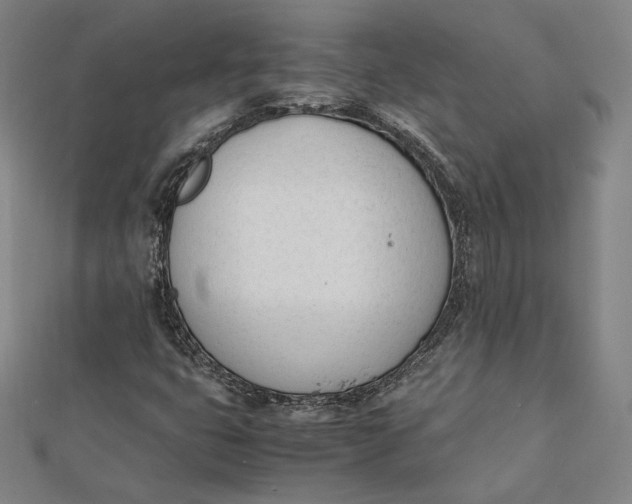 X0000112051399200908250948