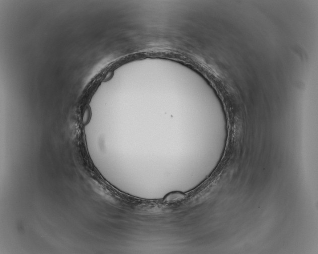 X0000112051400200908250948