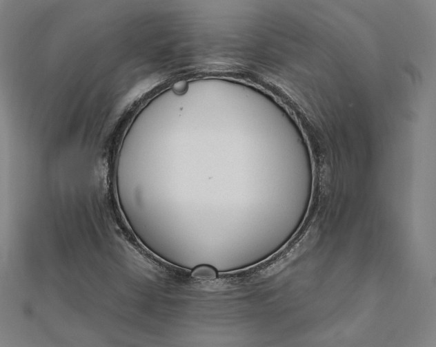 X0000112051402200908250948