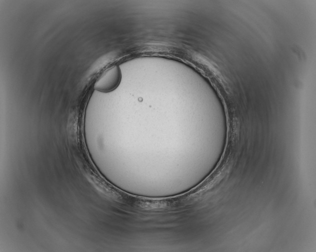 X0000112051403200908250948