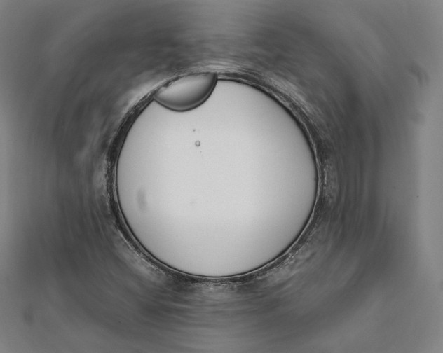 X0000112051404200908250948