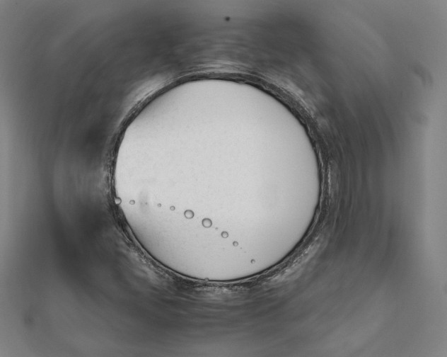 X0000112051405200908250948