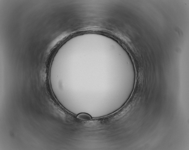 X0000112051406200908250948