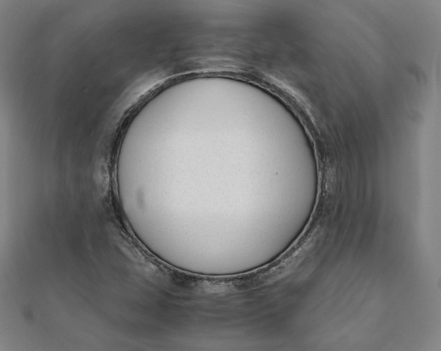 X0000112051407200908250948