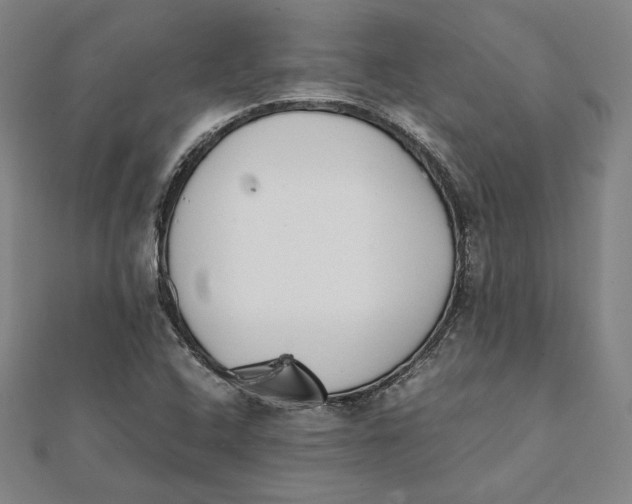 X0000112051408200908250948