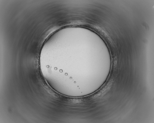 X0000112051409200908250948