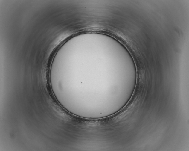 X0000112051410200908250948