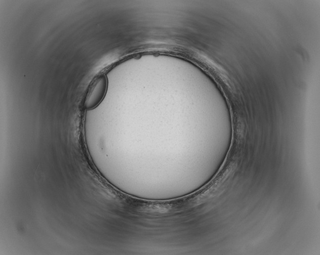 X0000112051411200908250948