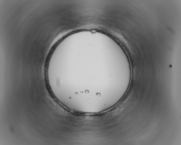 X0000112051412200908250948