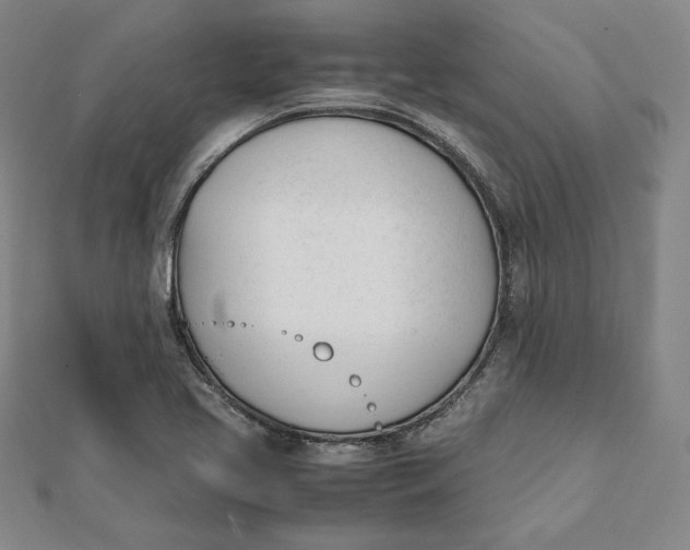 X0000112051413200908250948