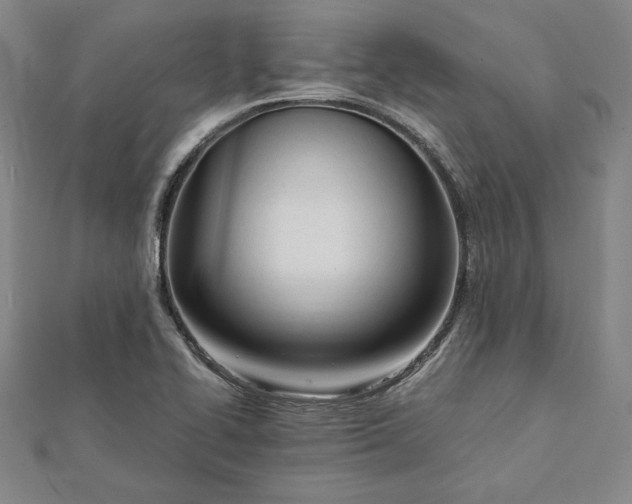 X0000112051414200908250948