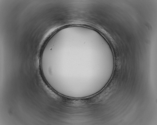 X0000112051416200908250948