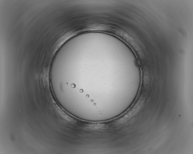 X0000112051417200908250948