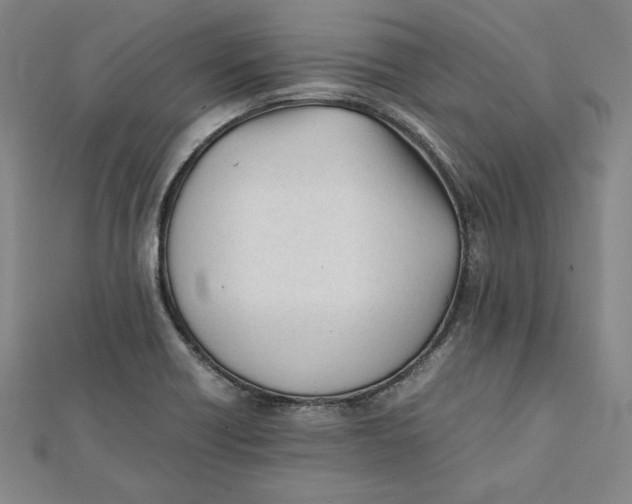 X0000112051418200908250948