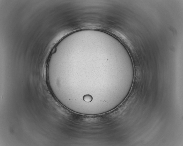 X0000112051419200908250948