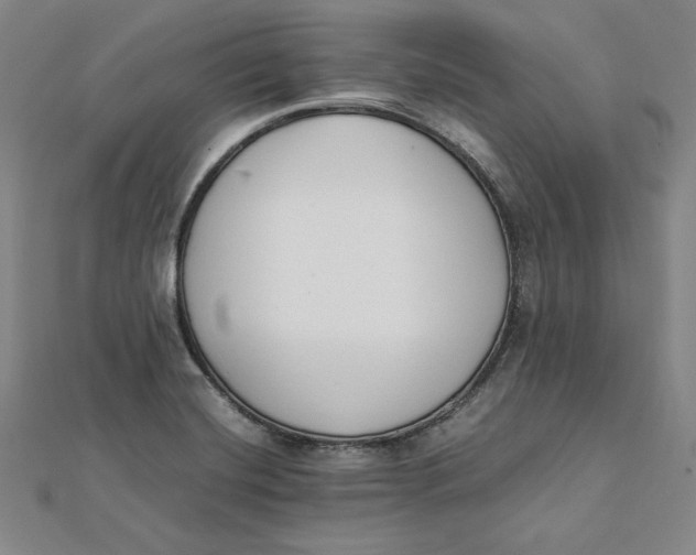 X0000112051420200908250948