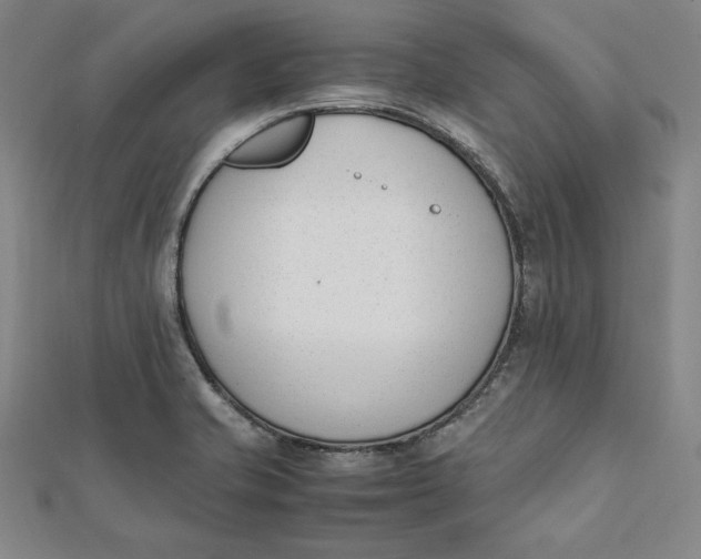 X0000112051421200908250948