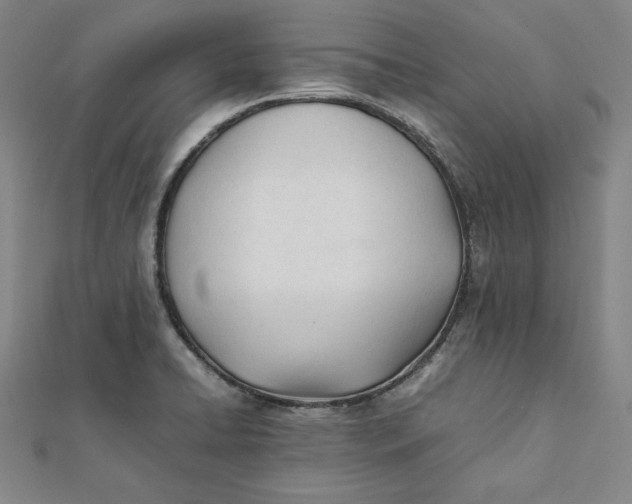 X0000112051422200908250948