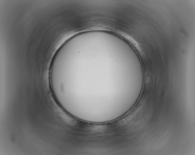 X0000112051423200908250948