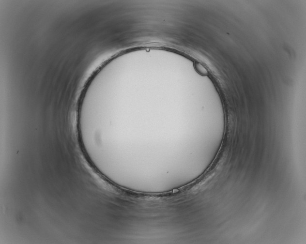 X0000112051424200908250948