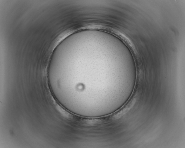 X0000112051425200908250948