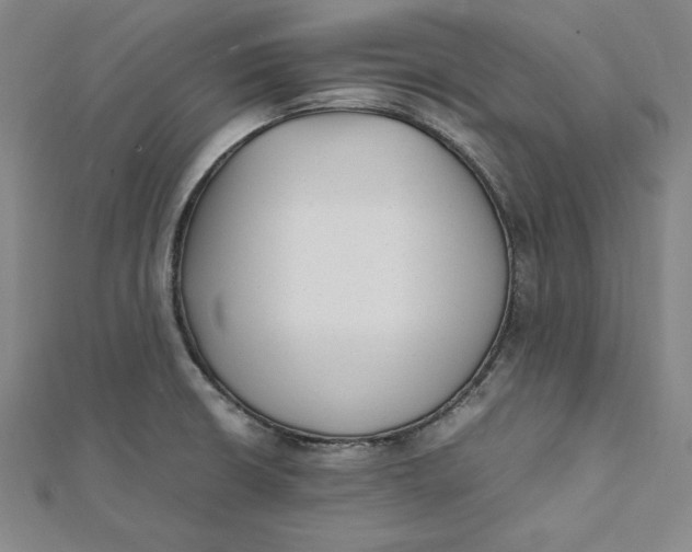 X0000112051426200908250948