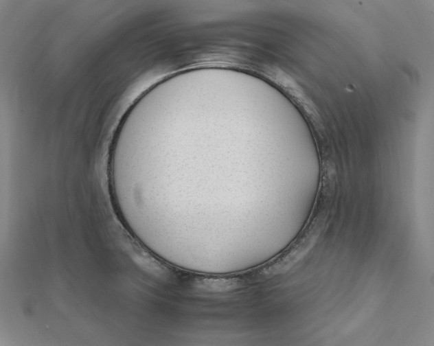 X0000112051427200908250948