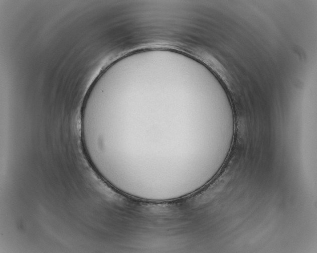 X0000112051428200908250948