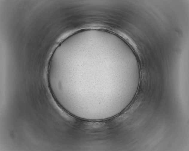 X0000112051429200908250948