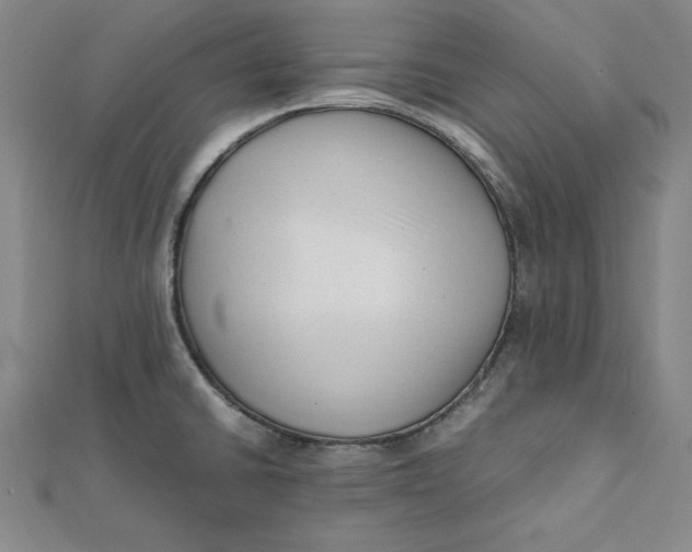 X0000112051430200908250948