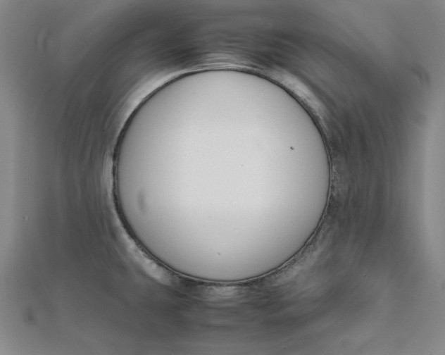 X0000112051431200908250948