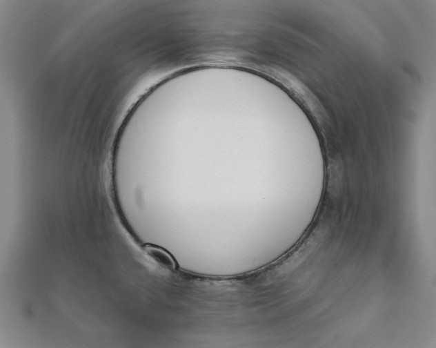 X0000112051432200908250948