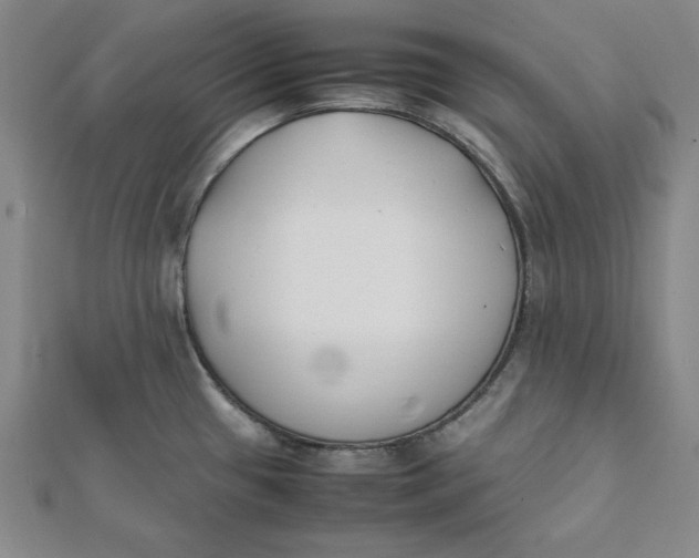 X0000112051433200908250948