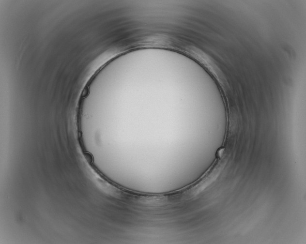 X0000112051434200908250948