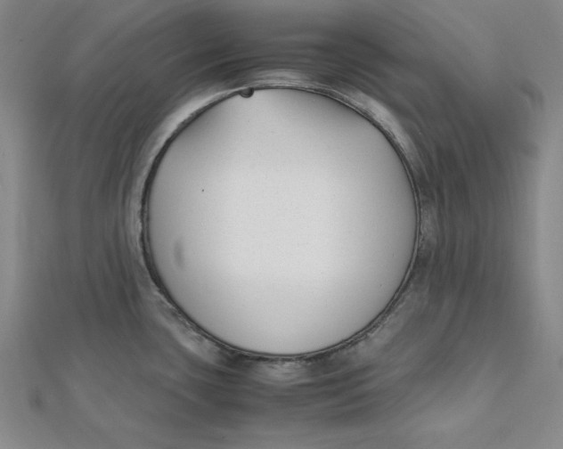 X0000112051435200908250948